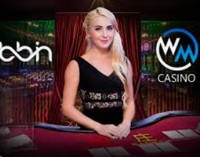 pg赢财神2024最新版